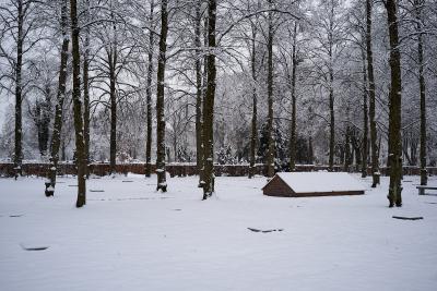 Grave of the victims of the Dachau concentration camp - Grave of the victims of the Dachau concentration camp, Cemetery Am Perlacher Forst, Munich 