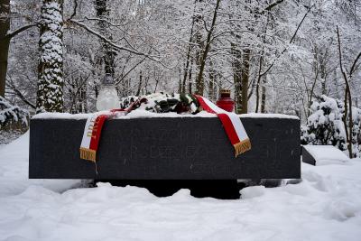 Granitplatte zum Gedenken an die gefallenen polnischen Soldaten - Granitplatte zum Gedenken an die gefallenen polnischen Soldaten, gekrönt mit einem Adler. Friedhof Am Perlacher Forst, München 