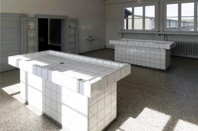 Medicine and crime - Marian Stefanowski, Medicine and crime. The sick bay at Sachsenhausen concentration camp 1936-1945 – pathology, 12 August 2018