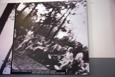 Jeden z historycznych wzorów do "Birkenau" Richtera - Jedno z historycznych zdjęć, które Gerhard Richter wykorzystał jako wzór do swojego cyklu obrazów. Państwowe Muzeum Auschwitz-Birkenau, Oświęcim 2019 r. 