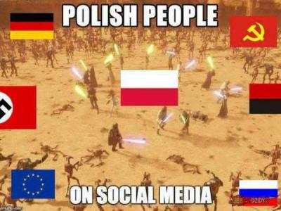 Abb. 5: „Die Polen in den sozialen Netzwerken“ - „Die Polen in den sozialen Netzwerken“ 