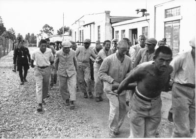 Häftlinge in Dachau (3) - Es stammt höchst wahrscheinlich von den amerikanischen Behörden. 