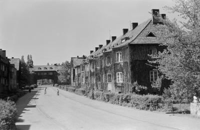 Widok ulicy osady Sępolno, 1961 r. - Widok ulicy osady Sępolno, 1961 r. 