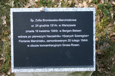Grabsteine auf der Gedenkstätte -  