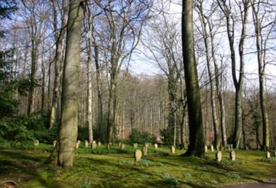 Friedhof und Grabsteine mit polnisch klingenden Namen -  