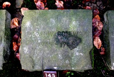 Cmentarz i kamienie nagrobne z polskobrzmiącymi nazwiskami -  