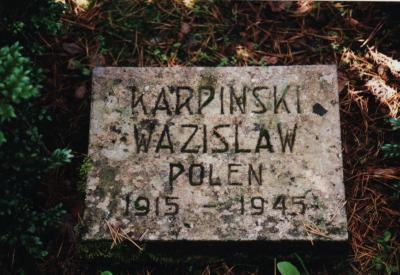 Polskie kamienie nagrobne na cmentarzu leśnym -  