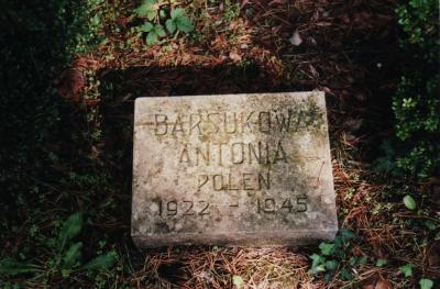 Polish tombstones at the cemetery in the forest -  