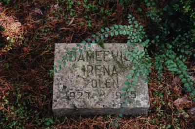 Polish tombstones at the cemetery in the forest -  
